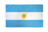 Argentina Flag 3x5ft Poly - Flags Importer