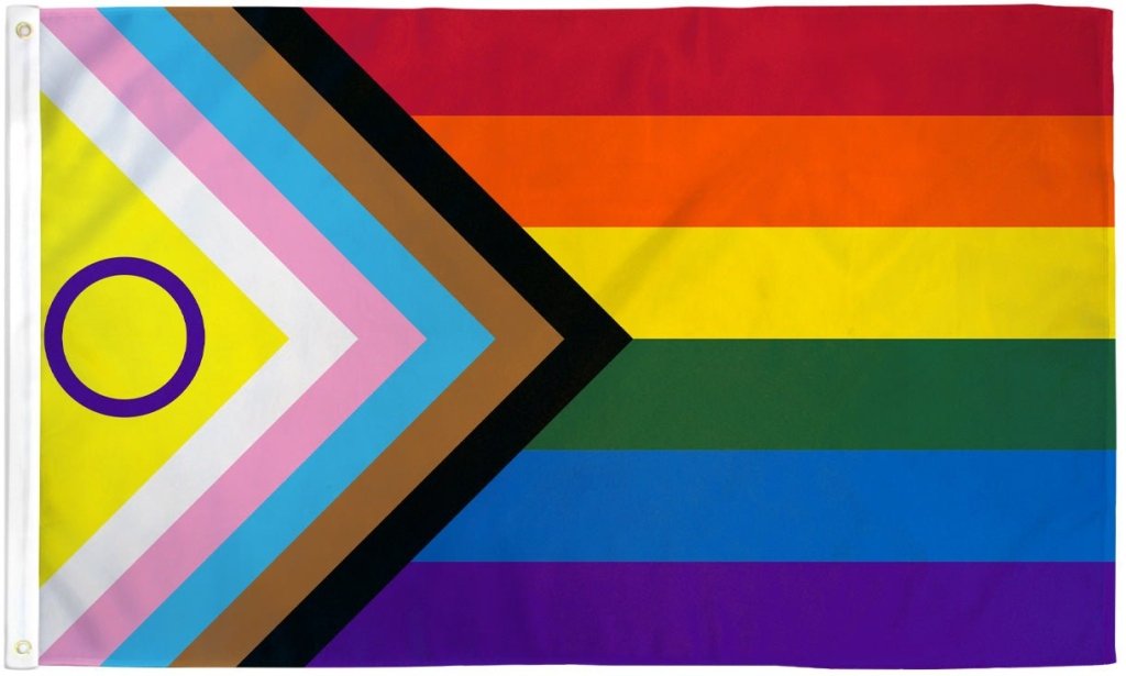 Inclusive Pride Flag 2x3ft Poly - Flags Importer