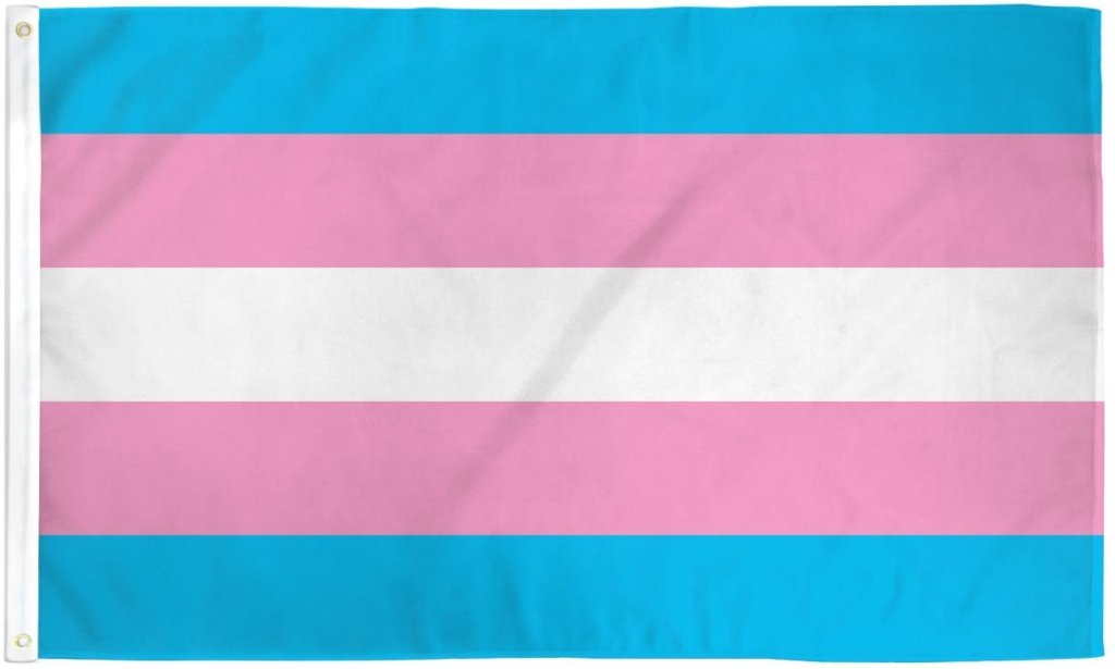 Transgender Flag 2x3ft Poly - Flags Importer